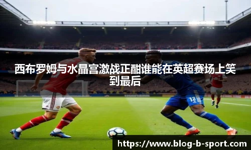 西布罗姆与水晶宫激战正酣谁能在英超赛场上笑到最后