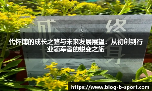 代怀博的成长之路与未来发展展望：从初创到行业领军者的蜕变之旅